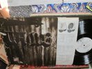 Lamb Lp Cross Between NMint San Francisco Rock Texas Roots Prod David Rubinstein