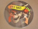 GUNS N' ROSES SKULL N' BONES ULTIMATE RARITIES PICTURE DISC NEW