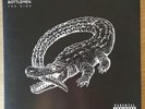 Catfish And The Bottlemen Vinyl