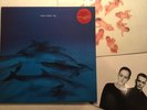 Frazier Chorus Ray - stickered + pr UK 2-LP vinyl record (Double Album)