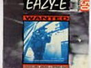 Eazy-E - 5150 Home 4 Tha Sick 12