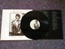The Auteurs Now Im A Cowboy Lp