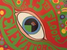 VENDS DISQUE 33T The 13th Floor Elevators Album The Psychedelic Sounds  LP VINYL