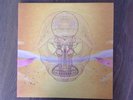 Devendra Banhart  - USA 2LP  What Will We Be 2009 NM to M-