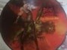 Ozzy Osbourne ultimate sin picture disc.