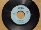 The 20th Century ? Hot Pants  SKY DISC SD 640  RARE FUNK SOUL  N.O.S. 45