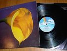 SWANS - THE BURNING WORLD LP