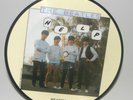 BEATLES Picture Disc 45 