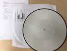 Nirvana ?– All The Fun Of The Fair (RARE VINYL PICTURE DISC TEST PRESSING)