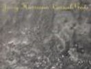 Jerry Harrison Casual Gods STILL SEALED NEW OVP Sire Vinyl LP