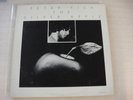 Peter Fish The Silver Apple Ellips0id Rec0rds 01