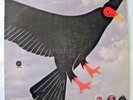 TUCKY BUZZARD - Self Titled, st-787,1971, HARD ROCK (LP) Capitol
