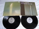 SONIC YOUTH - Daydream Nation - Original 1988 UK BLAST FIRST G/F Vinyl 2-LP VG