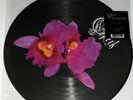 Opeth - Orchid [LP] (Vinyl, May-2005, Candlelight Records) 2× Picture Discs LP