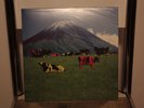 Lp Pink Floyd - live in japan - red wax