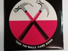 pink floyd and the walls came down