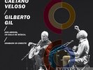 Caetano Veloso Gilberto Gil - Two Friends One Century Of Music (Live) Vinyl LP