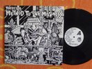 THERE'S A METHOD TO OUR MADNESS LP Phantom 1986 HARDCORE Original US Pressing