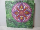S.T. MIKAEL Soul Flower 2xLP 1996 Xotic Mind Swedish PSYCH spacious mind NM-