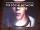 Nine Inch Nails -Social Network  2 LP Vinyl Trent Reznor Record NIN OST
