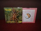 THE WEB Theraphosa Blondi LP 1969 DERAM 1st Press  MINT   MONO