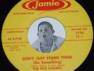 Doo Wop 45 THE FIVE CHORDS Don't Just Stand There / Love Is Like Music Jamie