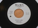 THE RAVEN Calamity Jane/Now She's Gone 45 Garage Mod Soul Dancer HEAR
