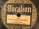 Vocalion 1440 Jed Davenport  HOW LONG HOW LONG Harmonica & Guitar  V 78rpm 1928
