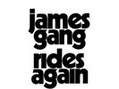 JAMES GANG - Rides Again - 180g HQ Vinyl - Limited Numbered Edition - MFSL