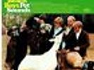 The Beach Boys - Pet Sounds Vinyl LP Mono Sound  B017
