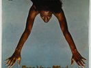 Funkadelic - Free Your Mind And Your Ass Will Follow LP - Westbound VG++