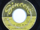 Crossover Soul/Funk 45 LASHAWN COLLINS What You Gonna Do Now SINCERE HEAR