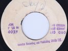 DELROY WILSON - ONE ONE/ NEW ESTABLISHMENT - ADIS A WA WA CUT TO SKYLARKING
