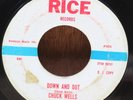 Chuck Wells Down and Out / Good Morning Fool Rust Promo DJ 45 RPM