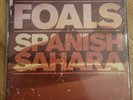 Foals - Spanish Sahara - RSD 2010 - UK 7