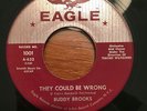 Teener 45 Buddy Brooks   Dix-A-Billy EAGLE