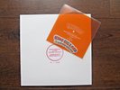 King Gizzard & The Lizard Wizard Paper Mache limited NUMBERED colored with flexi