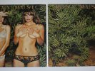 Roxy Music Country Life LP with Original & Replacement Covers