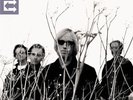 Petty  Tom & The Heartbreakers - Echo