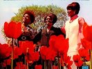 MARVELETTES- 