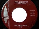 The SHEPPARDS 45 Feel Like Lovin / Just Like You 1959 Doo Wop D1616