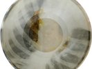 X-Ray Audio roentgen film Record Bones Ribs 1950s Leshchenko 