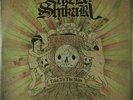 Enter Shikari - Take To The Skies [Vinyl]