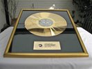 Erste Allgemeine Verunsicherung - Kann denn Schwachsinn Sünde sein ? - Gold LP