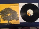 Jack Johnson - In Between Dreams Vinyl LP NM