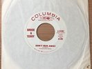Bruce and & Terry 45 Don't Run Away / Girl Its Alright Now Mike Love Beach Boys