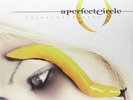 Thirteenth Step [LP] by Perfect Circle (A) (Vinyl, Sep-2003, 2 Discs, Virgin Rec