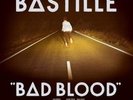 Bastille - Bad Blood Vinyl LP NEU 0551233n