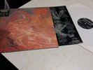 MORBID ANGEL - BLESSED ARE THE SICK LP EARACHE MOSH 31 OTTIMO