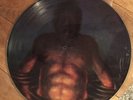 TOOL Ltd Edition Vinyl 1996 Cesaro Summability 12